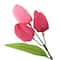 Dark Pink Tulip Bush by Ashland&#xAE;